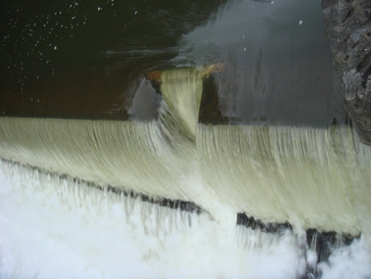 Loading Image