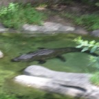 IMG_0920.JPG
