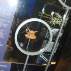 DSC04780.JPG