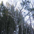 IMG_1548.jpg