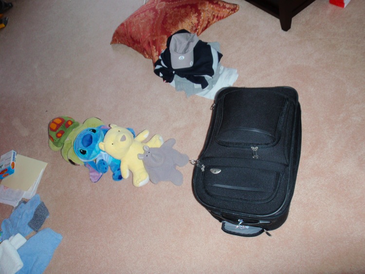 Loading Image