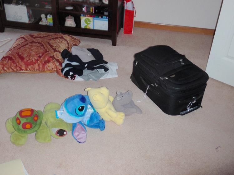 Loading Image